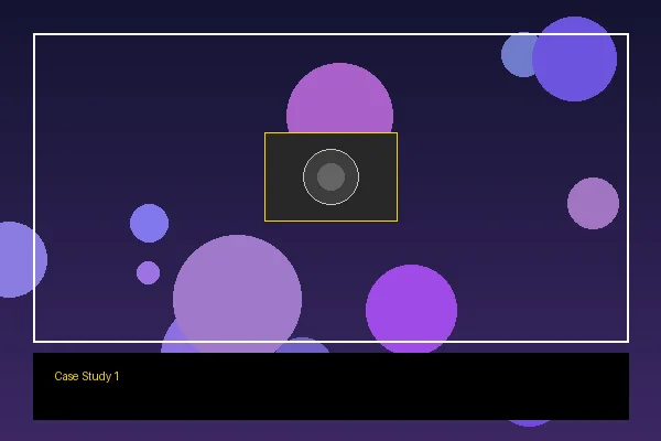 某知名品牌年度广告大片拍摄案例展示